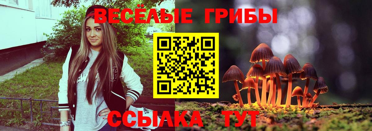 Галлюциногенные грибы Magic Shrooms Александров
